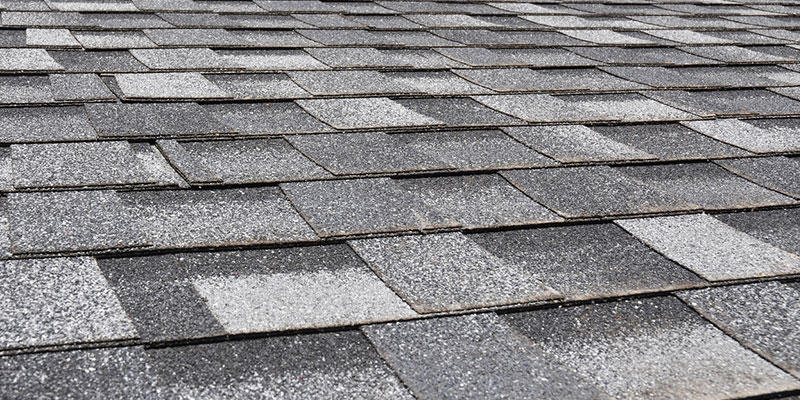 Which Roofing Type is Right for You?