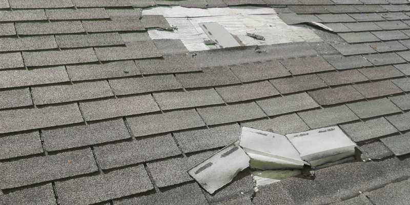 Tips for Knowing When You Need Storm Damage Roof Repair